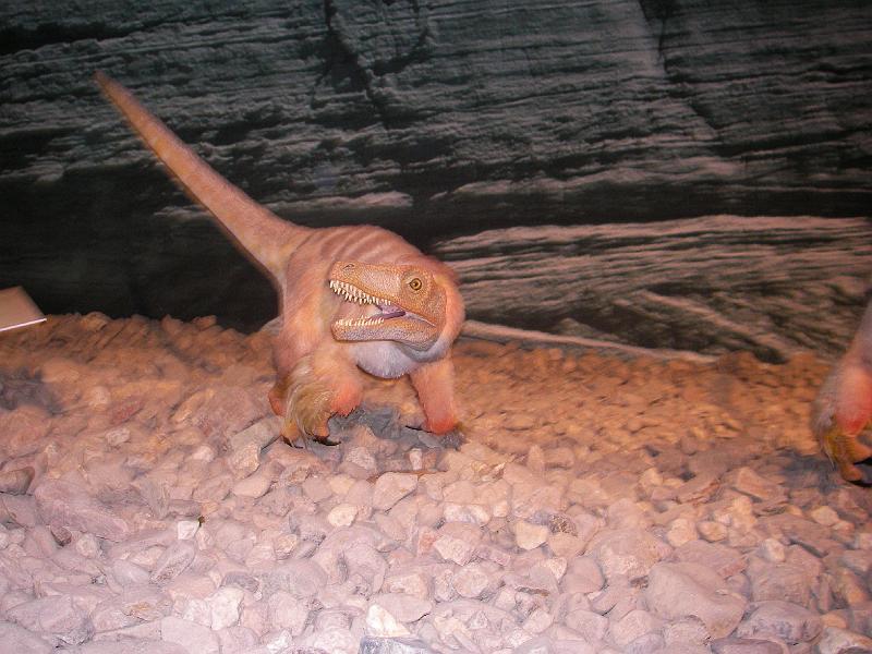 LV Zeltlager 2008 097.jpg